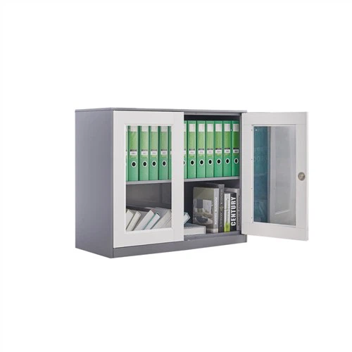 Vidro do armário de arquivo de aço